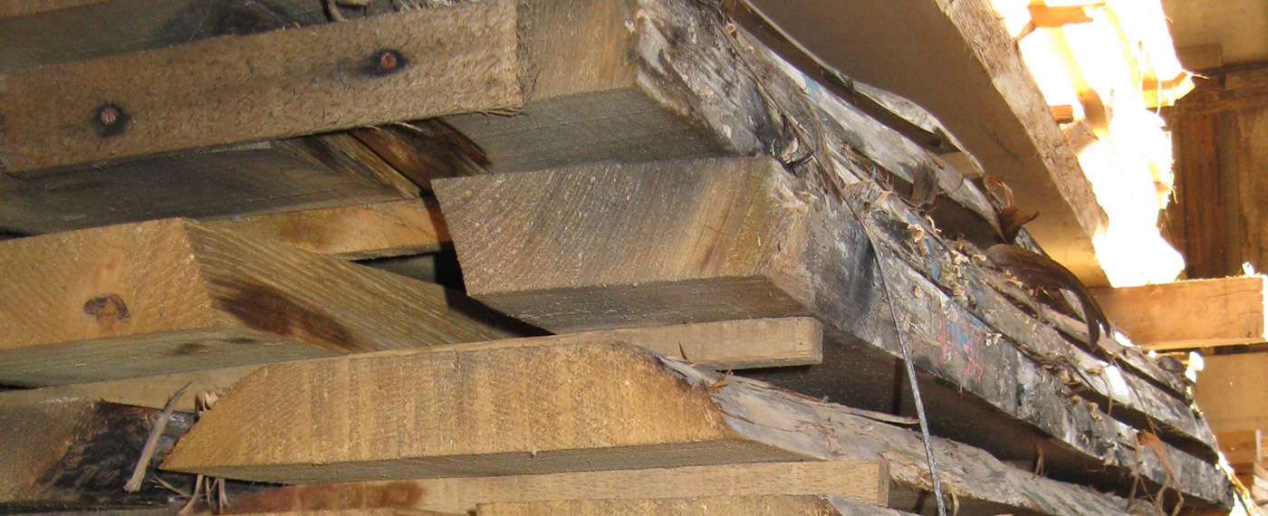 pannelli di legno per edilizia2 4b97b30b