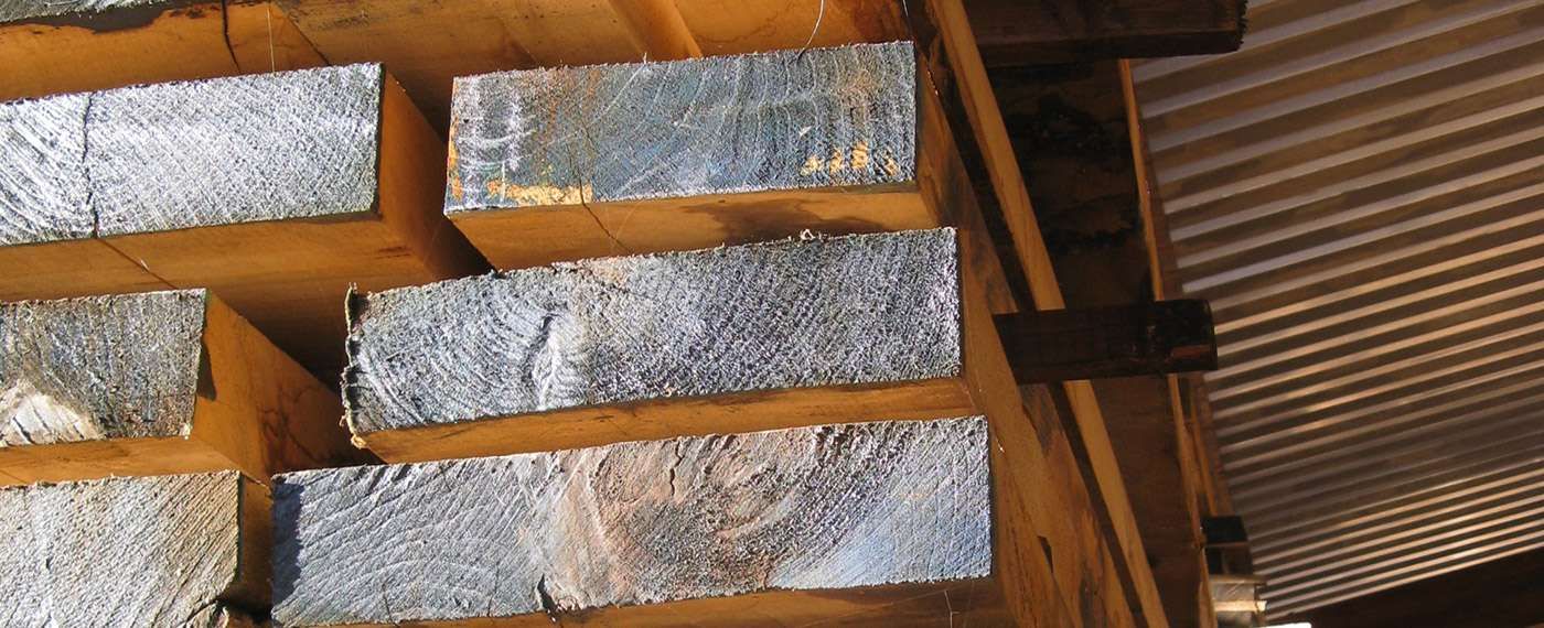 pannelli di legno per edilizia4 a60d4e7a
