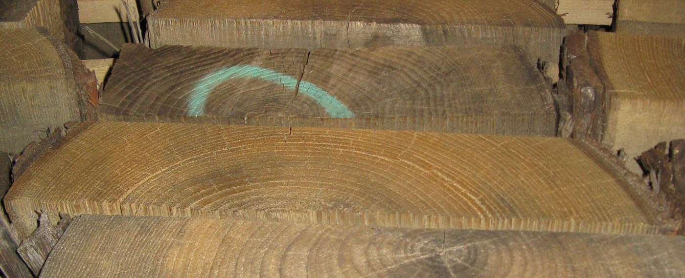 pannelli lamellare legno abete3 c83992e8